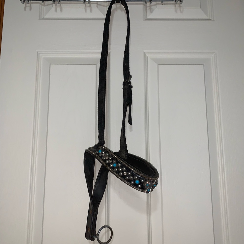 Horse tie down